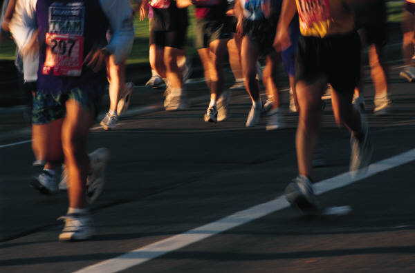 Half Marathon Runners